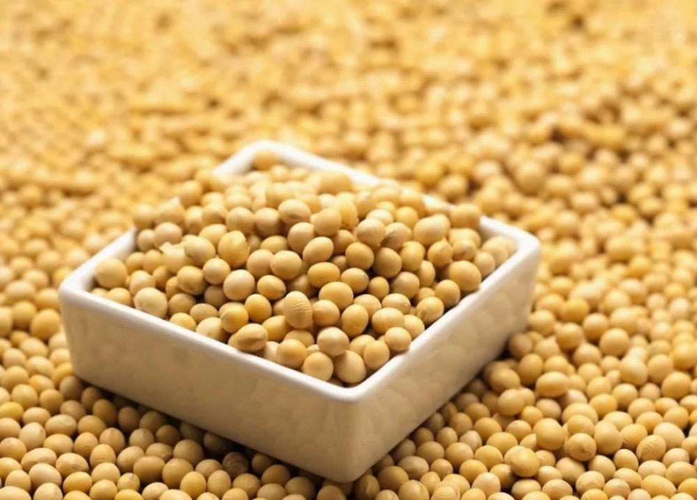 सोया आयसोफ्लाव्होन्सचे फायदे काय आहेत?