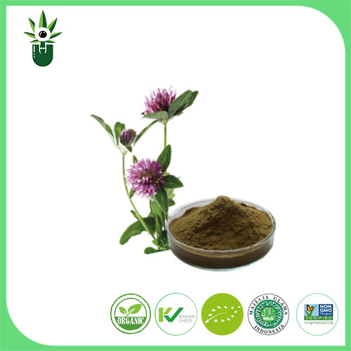 Medicago sativa एल अर्क